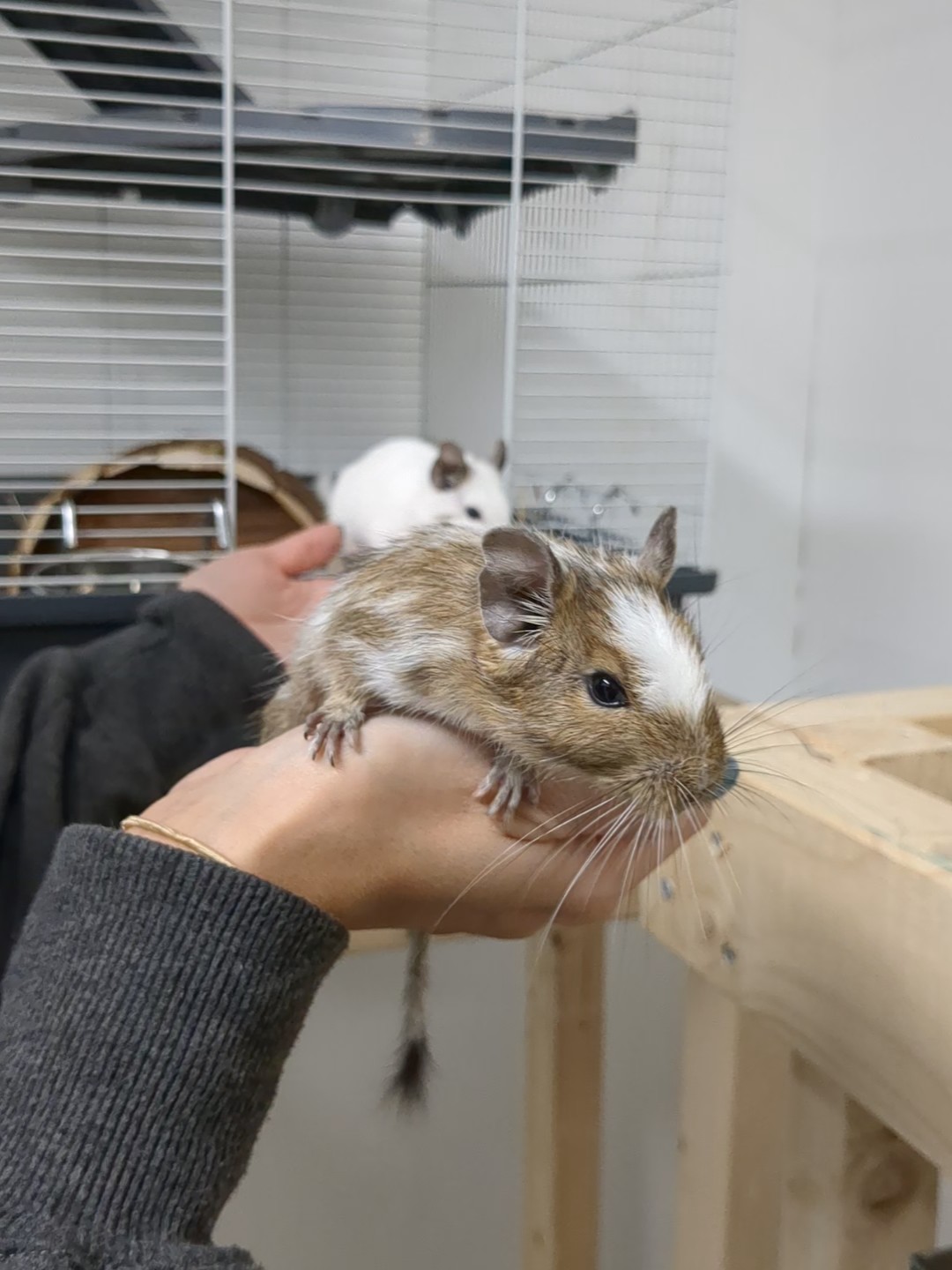 PXL_20231121_102252053_exported_888_1700562468363